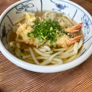 天ぷらうどん