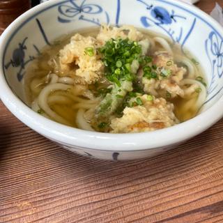 かしわうどん