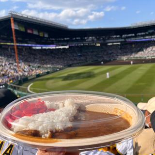 甲子園カレー(阪神甲子園球場 )