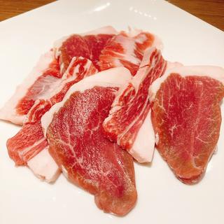 北海道産テクセル(ジンギスカン 羊々亭 札幌本店)