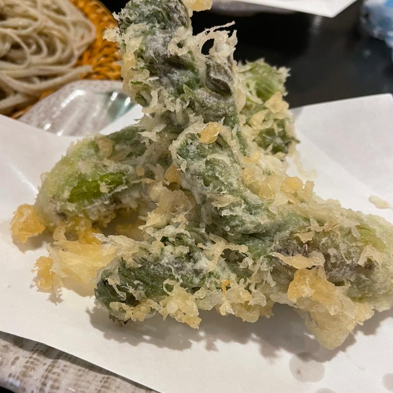 タラの芽の天ぷら(手打そば 一喜)