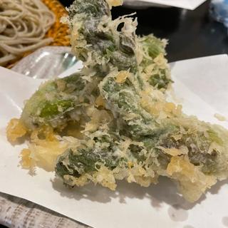 タラの芽の天ぷら(手打そば 一喜)