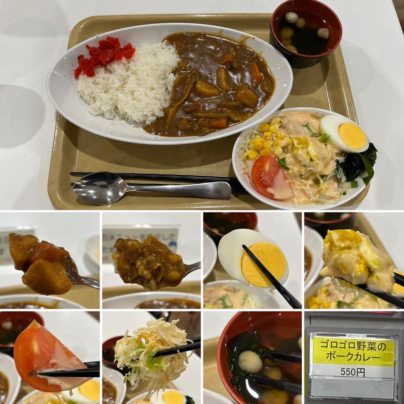 ゴロゴロ野菜のポークカレーに10品目サラダ(新宿区役所　お食事処けやき)