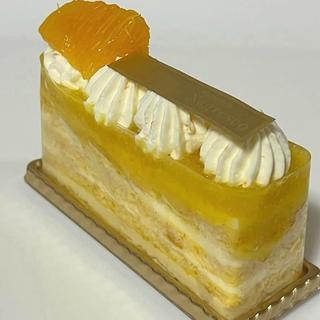 生オレンジのオペラ