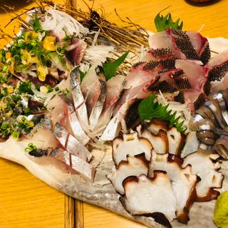地魚五種盛り