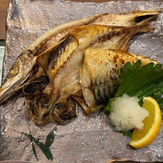 焼魚定食(銀座ライオン 小田原トザンイースト店)