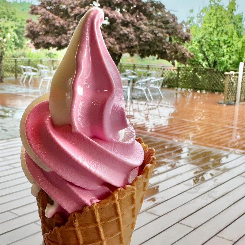 薔薇&ミルクのミックスソフトクリーム(京成バラ園 ガーデンセンター)