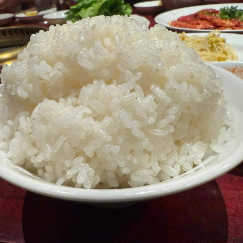 ライス大(宝園)