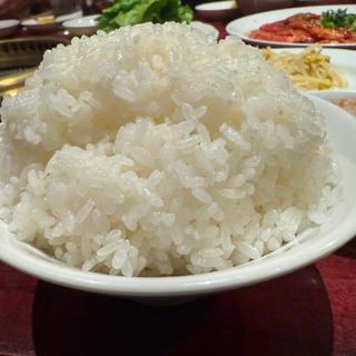 ライス大