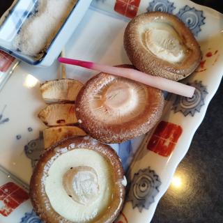 特大原木シイタケ(伊達な郷土料理と原始焼 牡鹿半島 仙台駅前店)