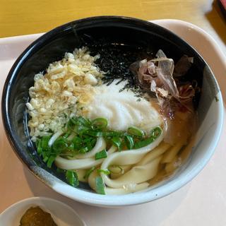 とろろうどん（温）(釜揚げうどん　白粉屋 （しらこなや）)