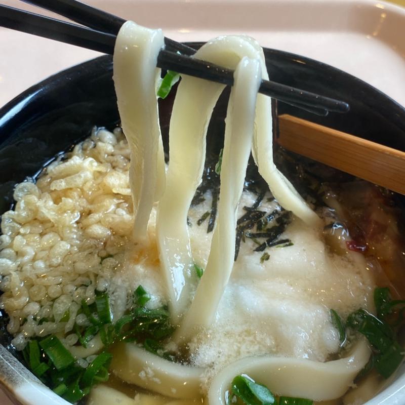 とろろうどん（温）(釜揚げうどん　白粉屋 （しらこなや）)