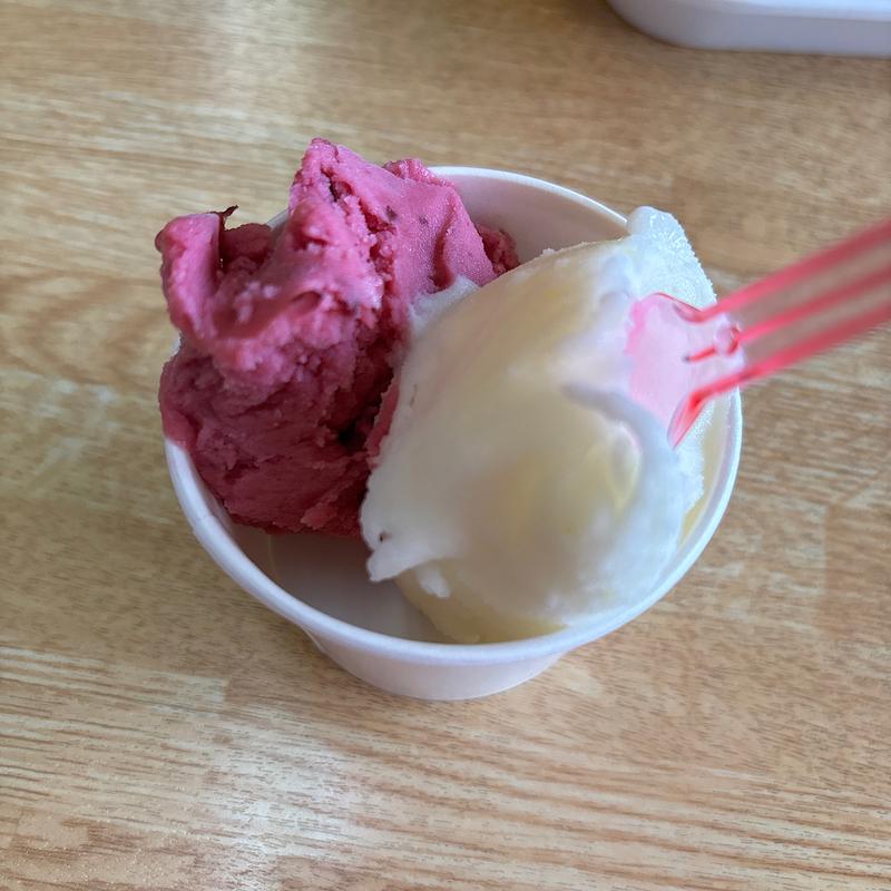 4種のベリー・レモン　ジェラート(ごまどう 湯っ多里館 )