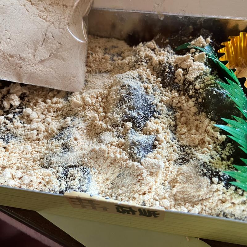 わらび餅(一入庵)