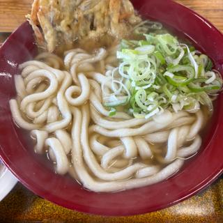 ごぼう天うどん