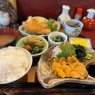 ウニ刺身定食(味納 )