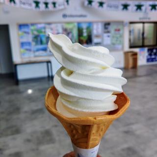 牛乳ソフトクリーム(食堂だいとう)