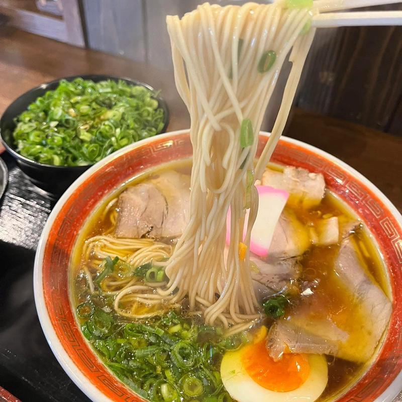 ねぎ蕎麦 大盛(中華蕎麦かたやま 本店)