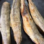 干物