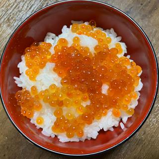 いくら丼