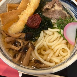 大和三山うどん(つくし 八木店 )