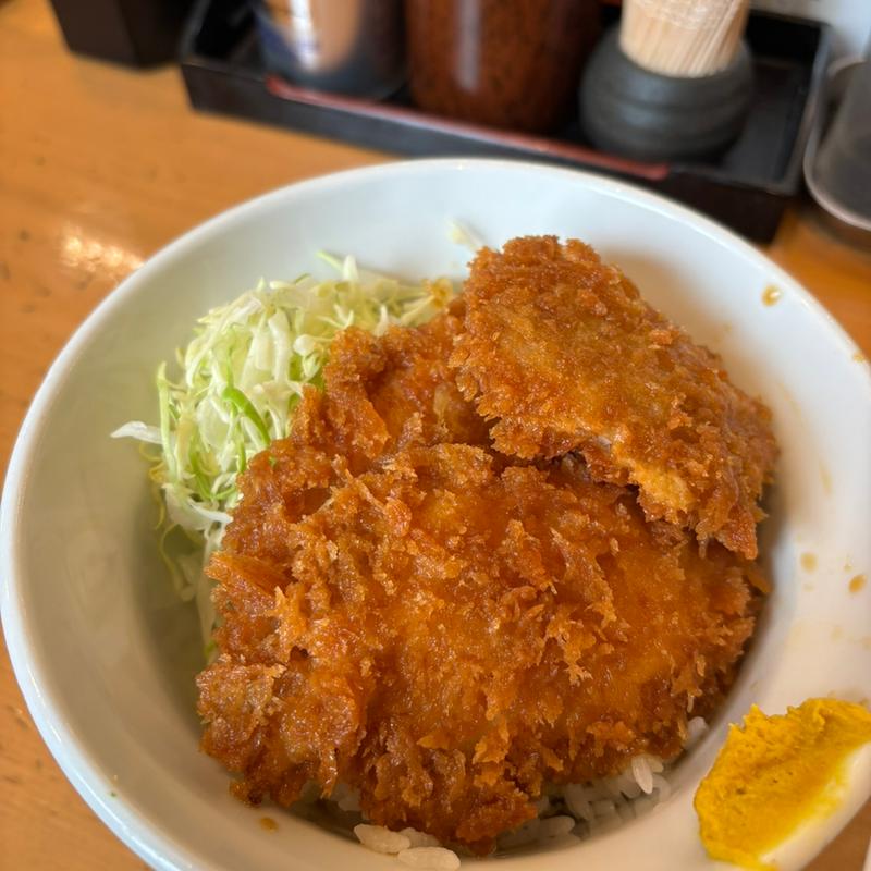 タレカツ丼(斗香庵 Higasi)