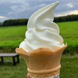 ヨーグルトソフトクリーム(小林牧場 おかしなソフトクリーム工房)