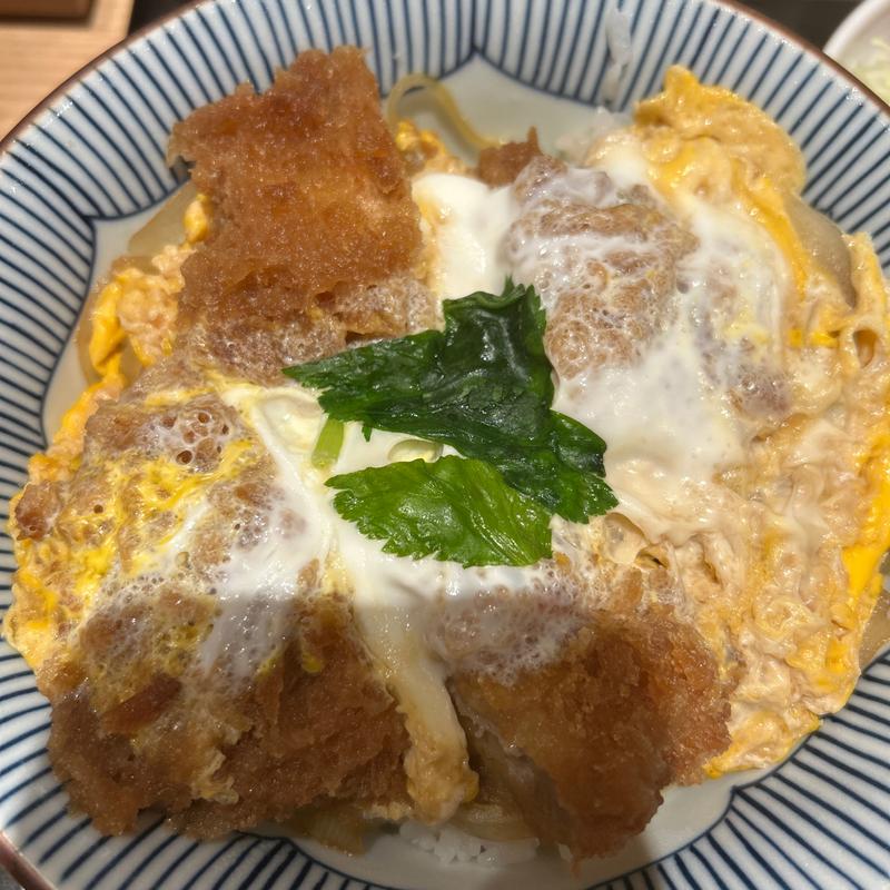 ヒレカツ丼(とんかつ和幸 ポールタウン札幌店)