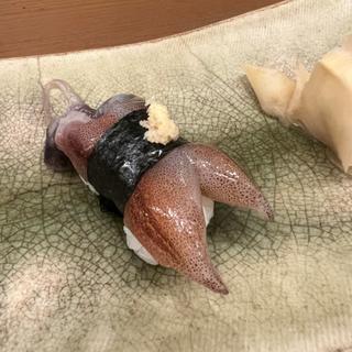富山湾 生ホタルイカの握り(千成寿司本店)