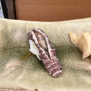 子持ちシャコ
