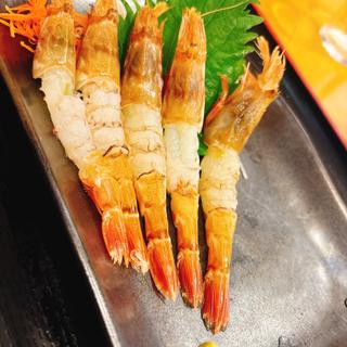 もさえび刺身(賀露港 市場食堂)