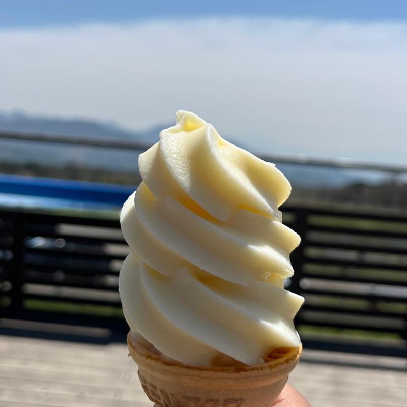 (ジャージーハット)