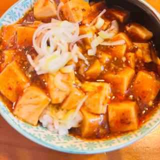 麻婆豆腐飯(秦小天)