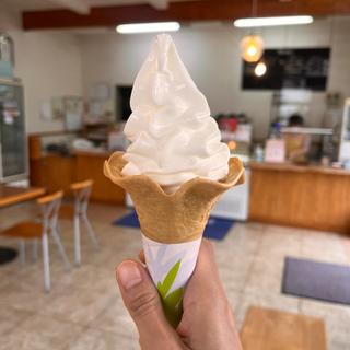 てしかがフロマージュソフト(摩周湖のあいす )