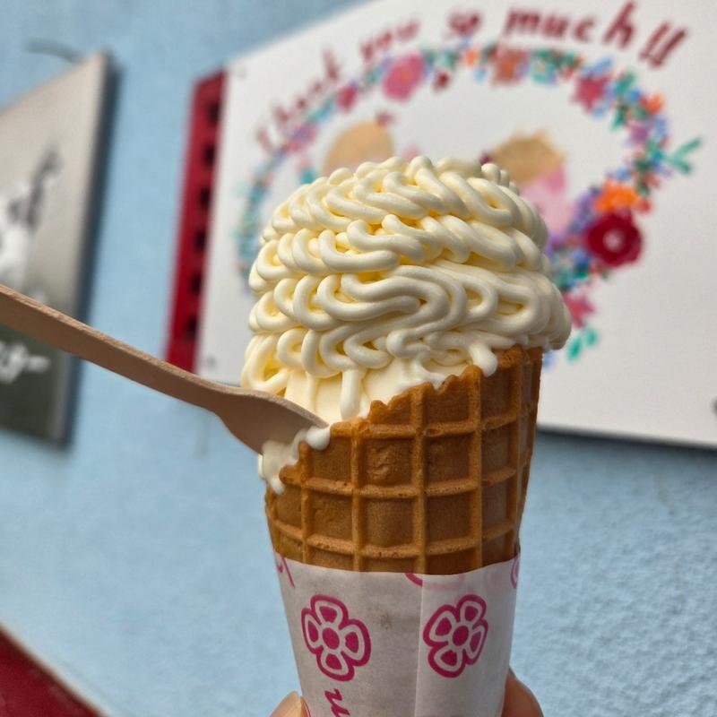 芸術ソフト(ついんスター )