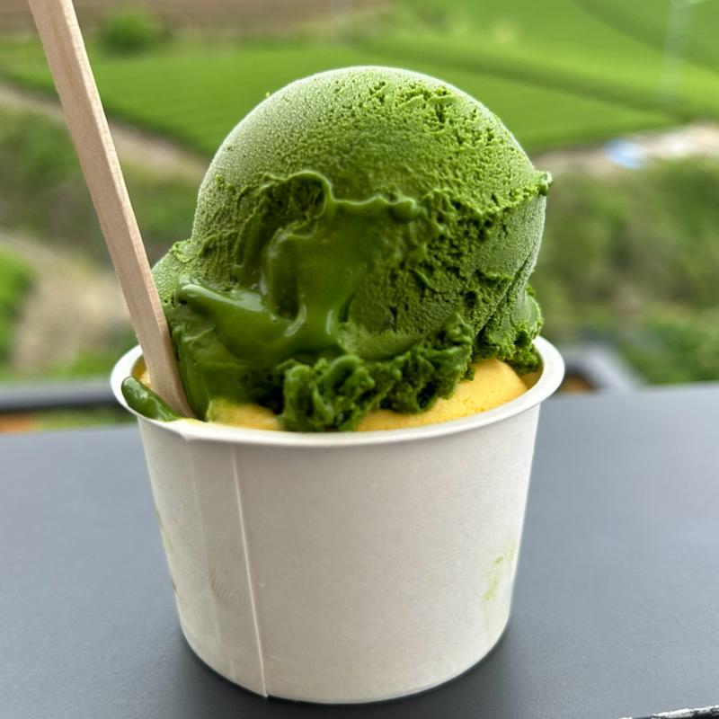 ジェラートダブル(カボチャ/抹茶濃いめ)(dan dan cafe)