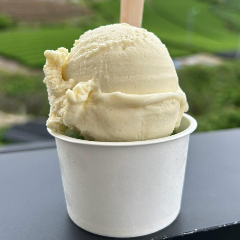 ジェラートダブル(さつまいも/抹茶濃いめ)(dan dan cafe)