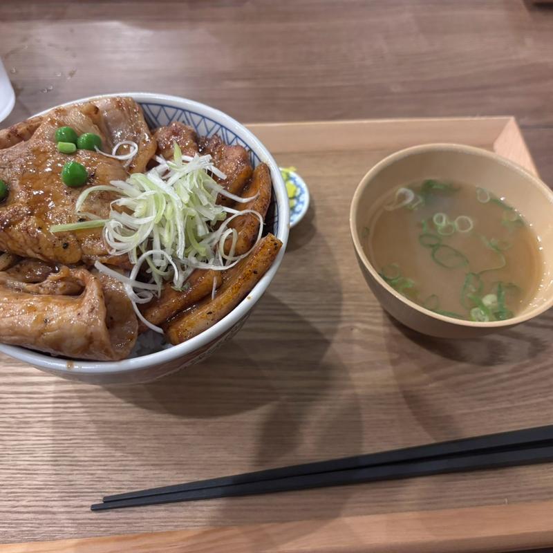 ハーフ＆ハーフ特盛(豚丼屋TONTON岡崎店)