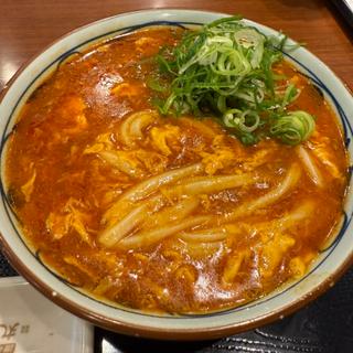 トマたまカレーうどん
