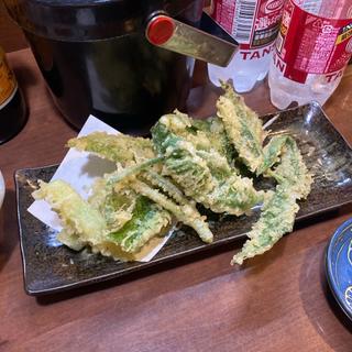 山うど天ぷら(味処●酒処 とらや)