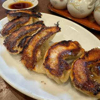 ギョーザ(鶏舎 （チイシャ）)