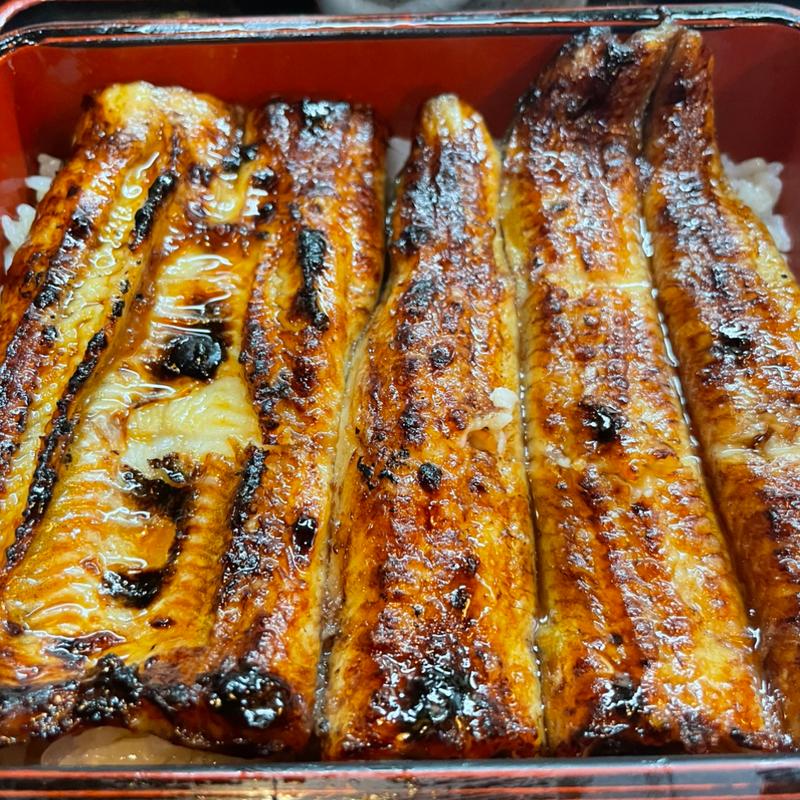 鰻重（上）(うな善 )