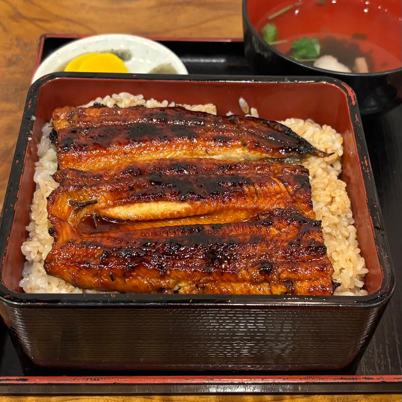 うな重（並）(うなぎ御食事処 九寅(くとら))