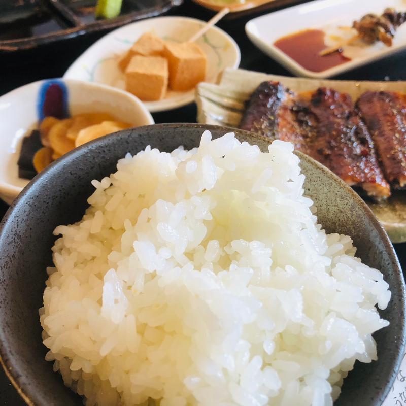 ご飯_上定食(うなぎ専門店尾方屋)