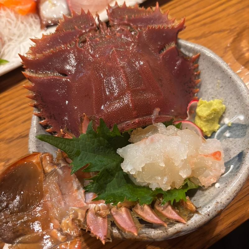 うちわ海老刺身(多ら福　亜紗 )