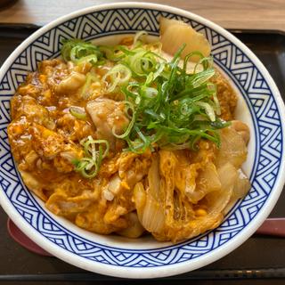 親孝丼