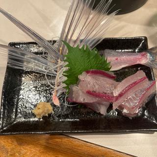飛魚の刺身(石亭)