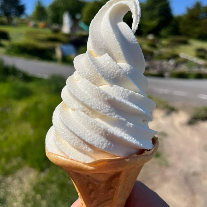 ソフトクリーム　りんご(浪岡産りんご入り)(JA青森 フルーツショップ 道の駅浪岡店 )