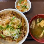 牛丼並鬼おろしポン酢おしんこランチセット