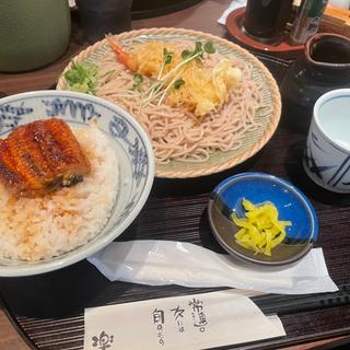日替り定食